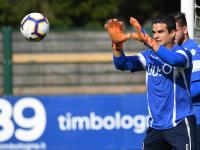 开云体育官方网站-博洛尼亚对阵桑普多利亚实现关键战胜，士气高昂向前迈进的简单介绍