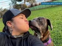 开云官方app入口-普赖贝尔主场迎来胜利，激动人心