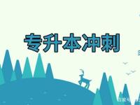 开云体育-奋力超越顶尖对手，勇夺优胜冠军之环