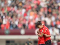 开云体育平台APP-壮烈的团结精神蔓延全场，让每位球迷为之动容的简单介绍