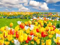 开云体育app-瑞士大胜比利时，争夺四强唾手可得的简单介绍