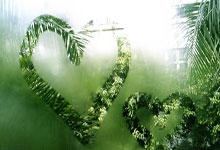 开云体育官网-神奇进球！多特蒙德主场取得胜利