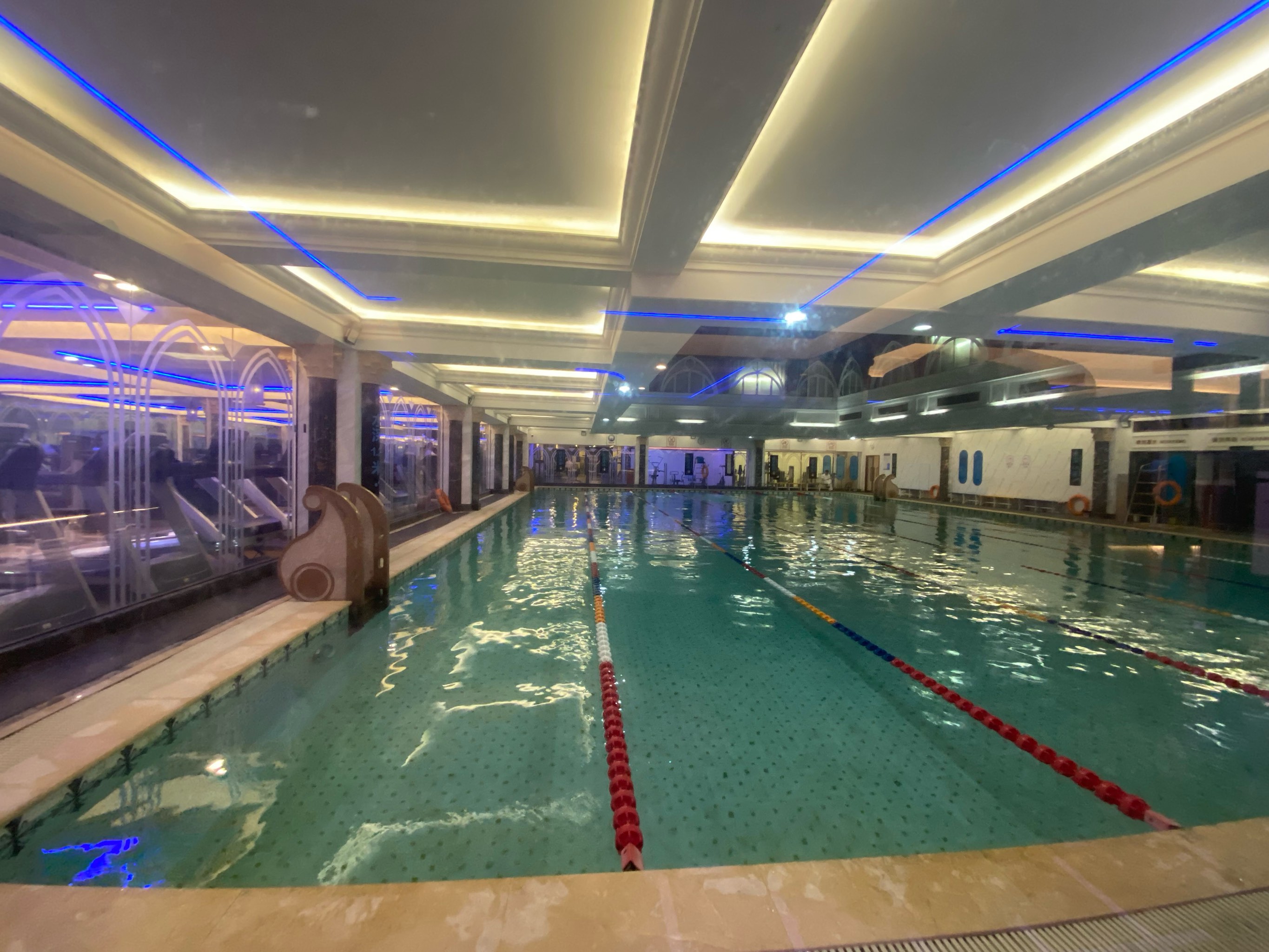 游泳选手飞跃冲刺,最后一跳致胜 游泳选手飞跃冲刺,最后一跳致胜