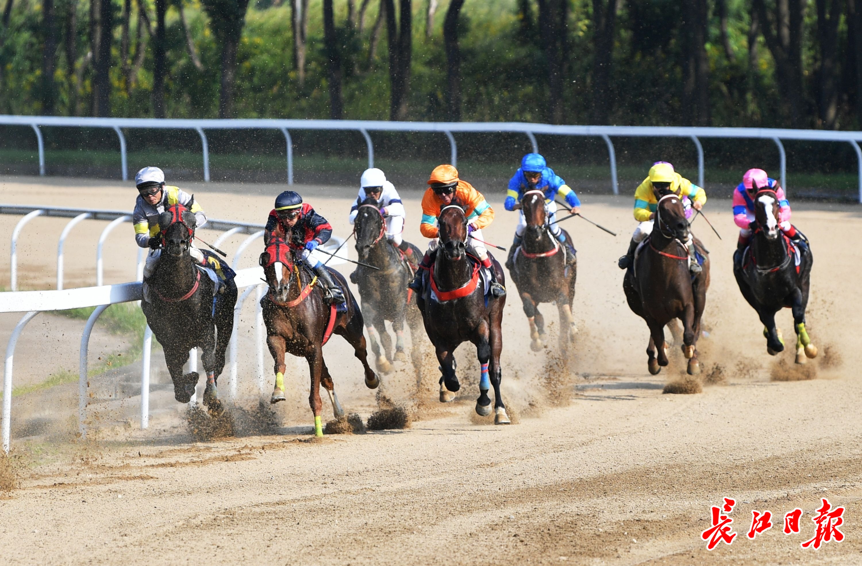 包含欧预赛热身赛接连开打,好戏连台的词条 包含欧预赛热身赛接连开打,好戏连台的词条