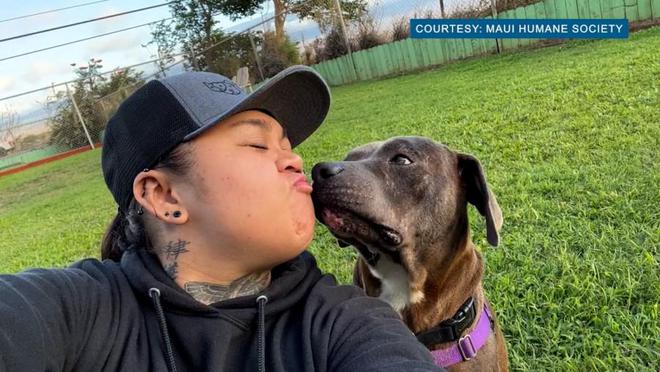 普赖贝尔主场迎来胜利，激动人心