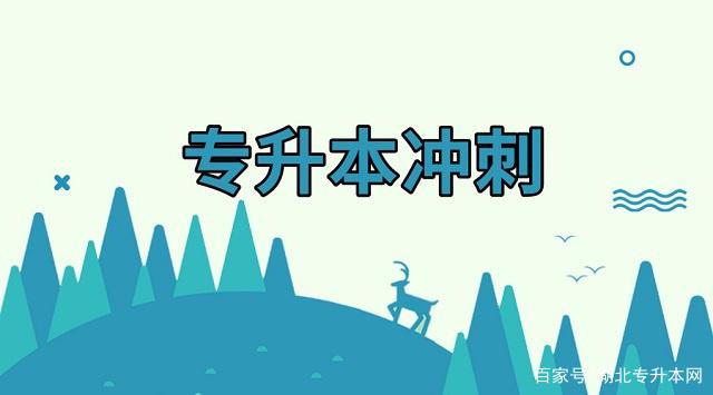 奋力超越顶尖对手,勇夺优胜冠军之环 奋力超越顶尖对手,勇夺优胜冠军之环