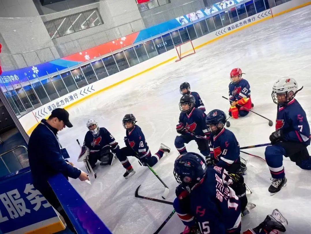 澳大利亚队表现抢眼，斩获多面奖牌的简单介绍